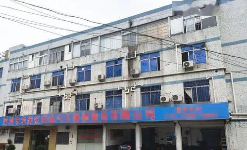 東莞一工廠遭遇“螞蟻搬家式”盜竊，12萬元清真食品不翼而飛，疑有內(nèi)鬼參與